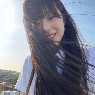 面目全飞